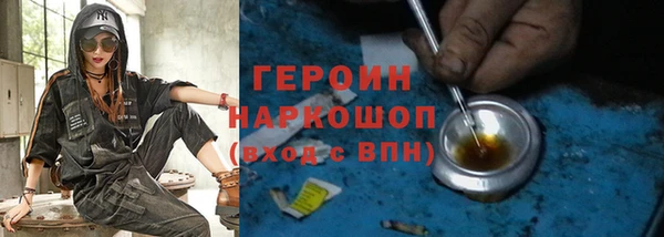 гидра Вяземский