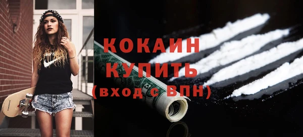гидра Вяземский