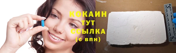 гидра Вяземский