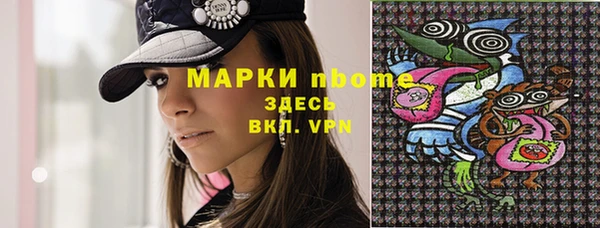 гидра Вяземский