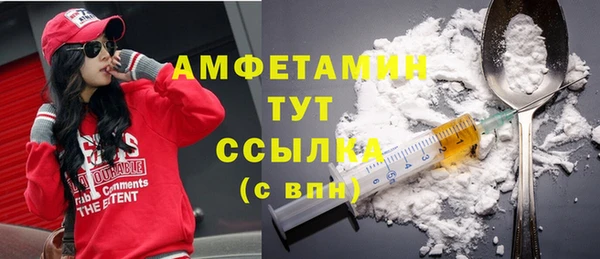 гидра Вяземский