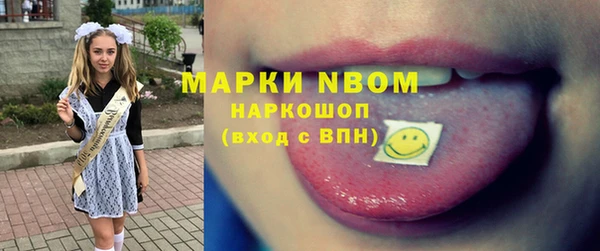 гидра Вяземский