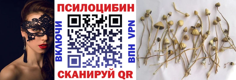 Псилоцибиновые грибы Psilocybe  Семикаракорск 